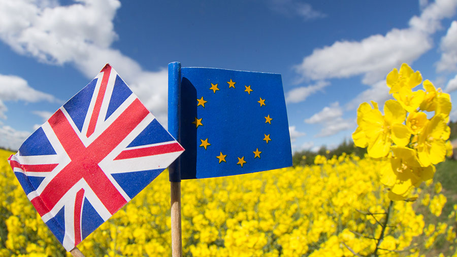 Farming and Brexit